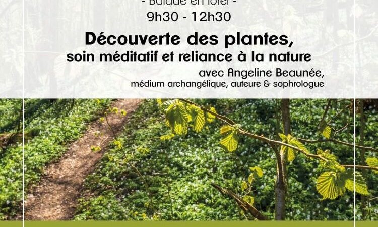 carpe diem, 276, carpediem276, bien-être, bien-etre esoterisme