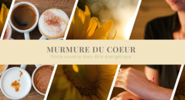 alimentation, aromatherapie, aromathérapie, art divinatoire, astrologie, bien-etre, bien-être, cartomancie, coaching, esthetisme, esthétisme, fitness, formation, hypnose, lithotherapie, lithothérapie, massage,meditation, méditation, medium, médium, naturopathie, radiesthesie, radiesthésie, reflexologie, réflexologie, sante, santé, soins, sophrologie, voyance
