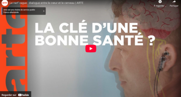 Le nerf vague : dialogue entre le cœur et le cerveau