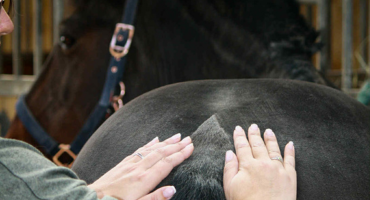 DIRADOURIAN Flore [Les chemins de l'harmonie]